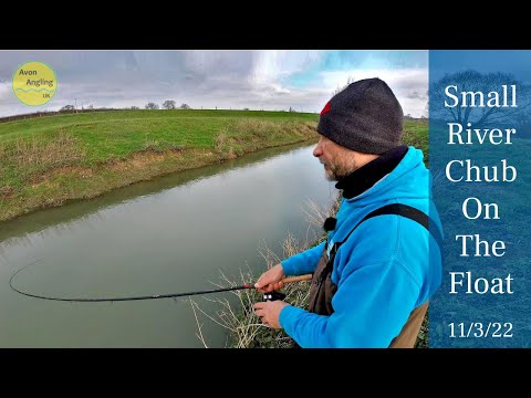 Small River Fishing For Chub - Trotting The Stick Float - 11/3/22 (Video 311)