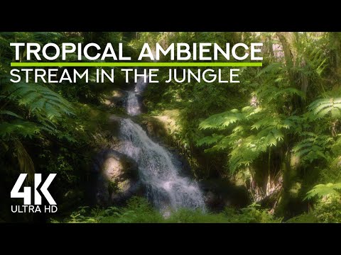 8 HRS Real Jungle Waterfall Sounds for Relaxation - Onomea Falls 4K | Hawaii Tropical Garden