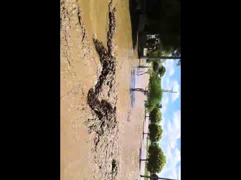 INUNDACIÓN DE MAQUINISTA GALLINI DPTO RÍO 1 CBA