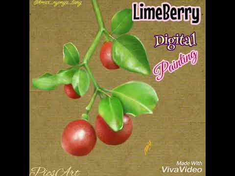 How to draw LimeBerry | LimeBerry digital painting | Picsart | Jeruk Kingkit