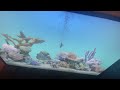 Elmo World Horses Intro