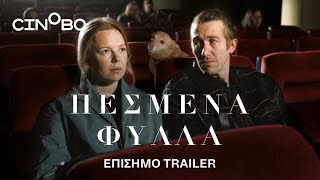 Trailer Preview Image