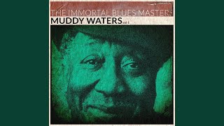Trouble No More (Remastered)