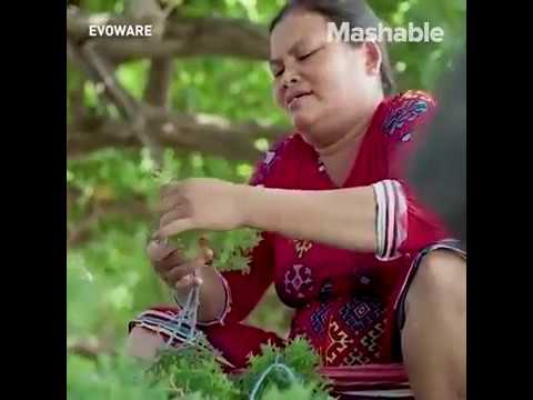 YouTube video