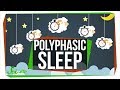 What Do Scientists Really Know About Polyphasic Sleep
