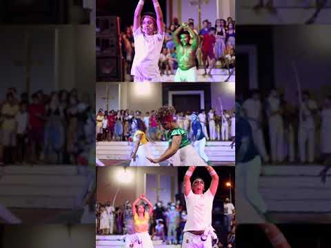 Roda da diversidade.