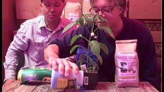 How and Why to Choose Organic Fertilizer for Your Home Garden