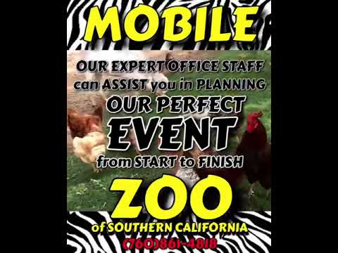 Promotional video thumbnail 1 for Mobile Zoo of Southern California