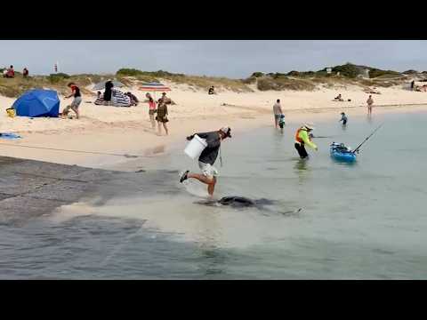 South Africa Today on 10 January 2026