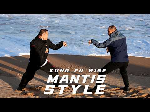 Tanglang Quan, the secrets of Mantis style | Kung Fu Wise