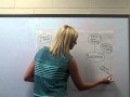 Double Bubble Map