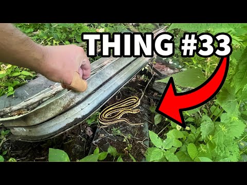 I flipped 50 things and found…