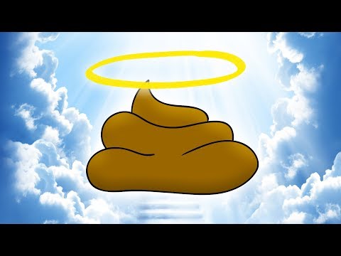 Het Hondendrol Paradijs