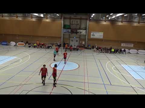 MNLB: TVB - TV Möhlin