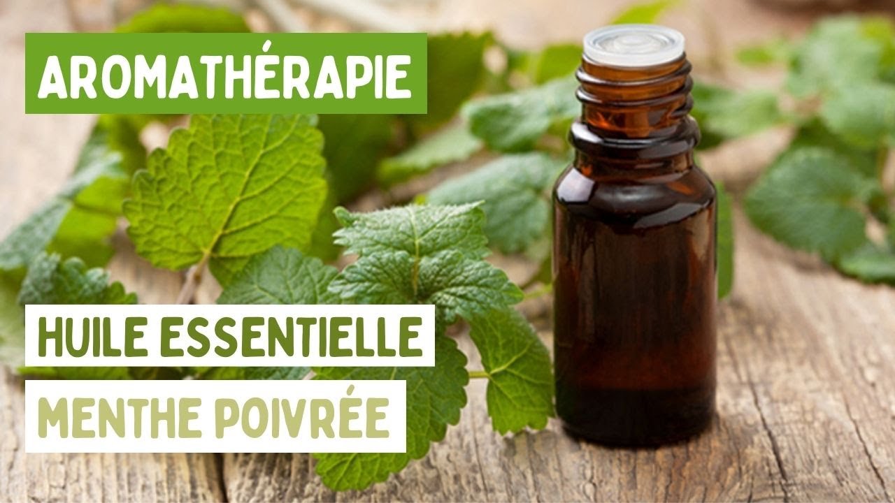 HUILE ESSENTIELLE DE MENTHE POIVRÉE : PROPRIÉTÉS, BIENFAITS, UTILISATIONS ET CONTRE-INDICATIONS 🌿