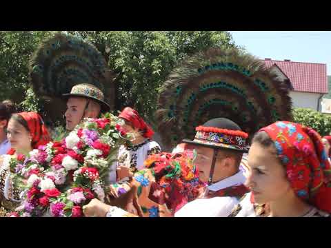 Înstruțatul boului, la Căianu Mic, 28 mai 2018