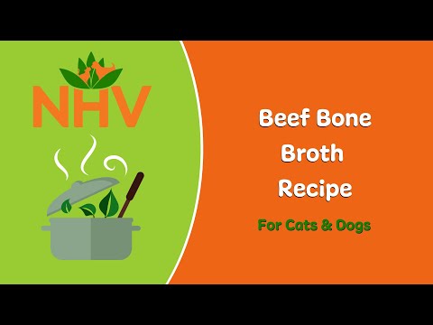 DIY Beef Bone Broth Recipe For Cats & Dogs