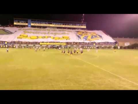 "La mejor hinchada del paraguay" Barra: Chancholigans &bull; Club: Sportivo Luqueño