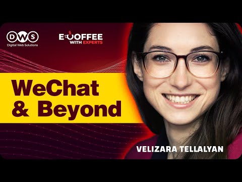 Expert Localization Strategies in China - Velizara Tellalyan