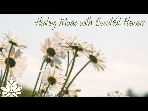 The Most Beautiful Flowers Collection for Relaxation - Healing and Meditation Music