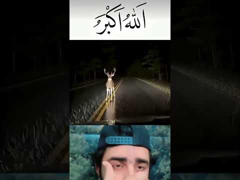 جس ذات کا قرآن میں ذکر جلی ہے وہ میرا نبی میرا نبی ہے