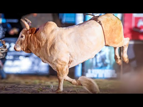 Rodeio de SANTA MERCEDES 2025 (QUINTA / MELHORES MOMENTOS)