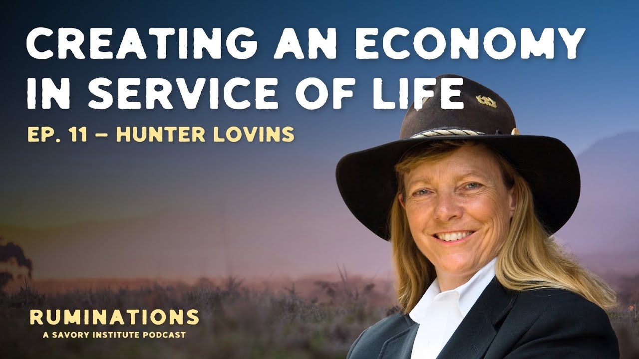 Is CAPITALISM compatible with life on Earth? Hunter Lovins has thoughts.