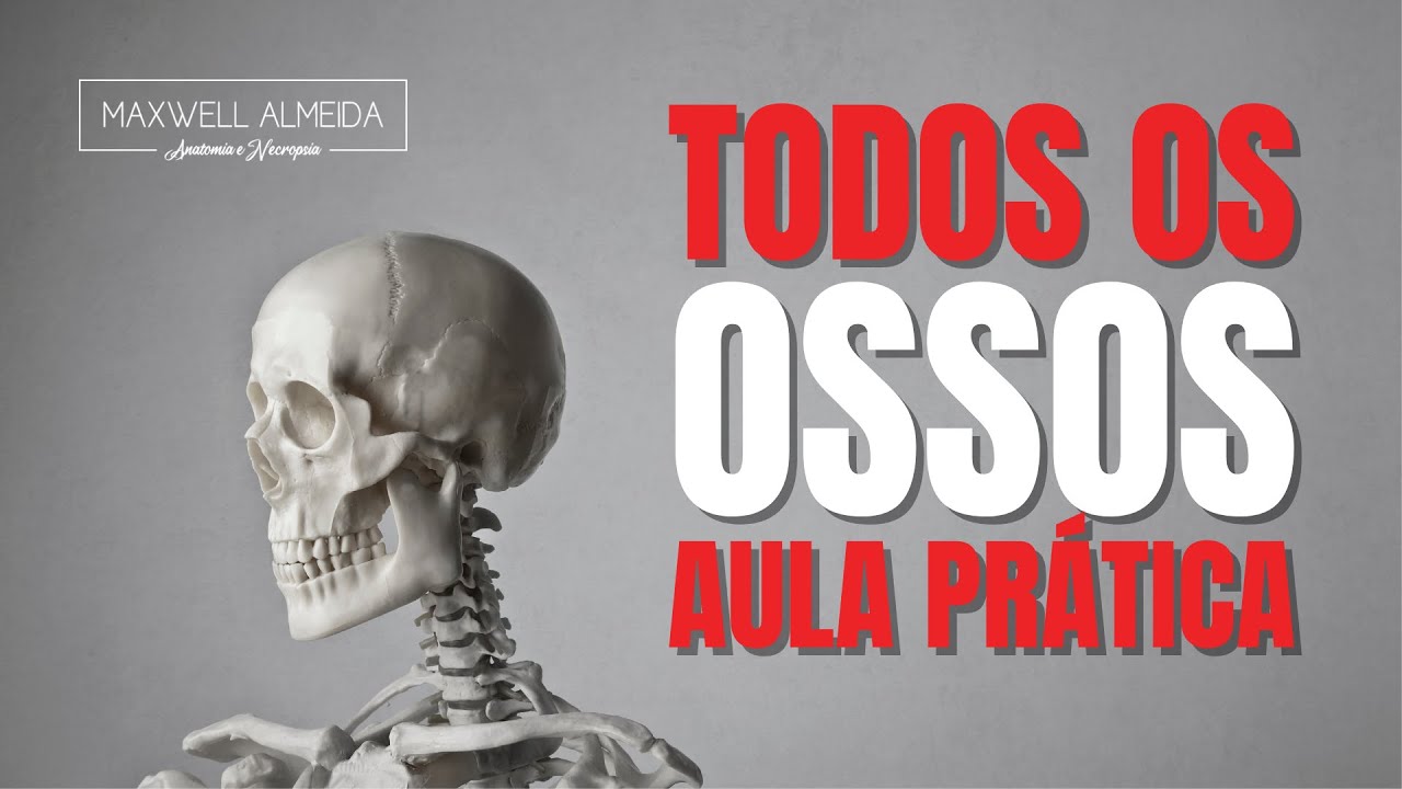 Explicação rápida de TODOS os OSSOS do corpo humano | AULA PRÁTICA no Anatômico