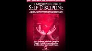 Neuropsychology of Self Discipline