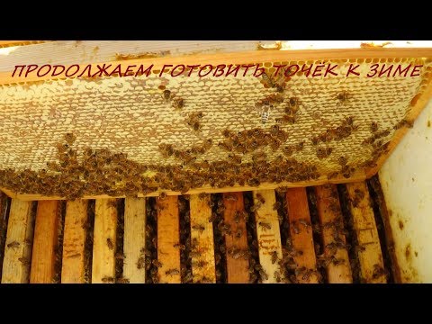 Подготовка точка в ЗИМУ продолжение