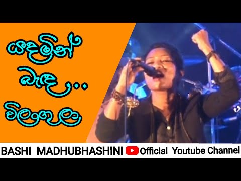 Bashi Madhubhashini /භාෂි මධුභාෂිණී / Yadamin benda /යදමින් බැඳ  (වත්තල)