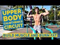 BUILD MUSCLE AND STAY SHREDDED WITH THIS UPPER BODY CALISTHENIC CIRCUIT