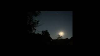 The Cowsills (stop, Look) Is Anyone There? 1967 Stereo