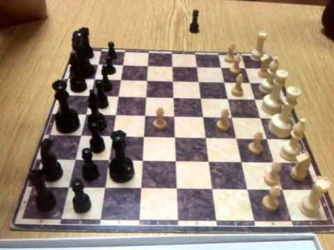 Kámoši hrají šachy