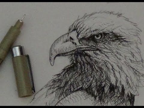 Pen Ink Tutorial | How to draw an eagle head
