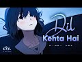 Dil Kehta Hai Hindi AMV Love Story See Feel