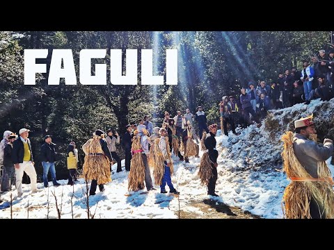 Faguli @ Shangarh