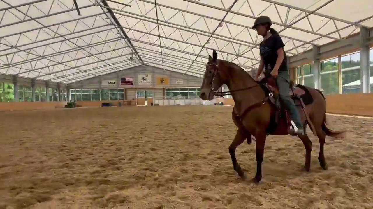 Cheyenne: Eager Trail loving Appaloosa Mare video 1