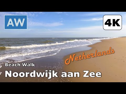 [4K] Scenic Morning Walk to the Beautiful Beach of Noordwijk aan Zee, Netherlands