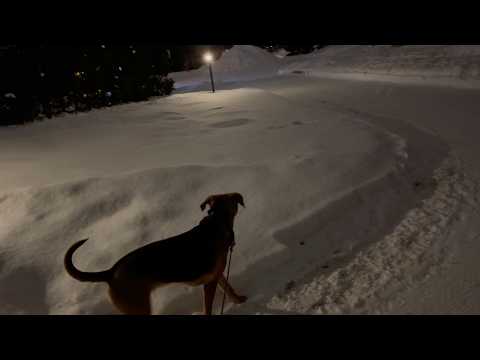 Off the Grid Needlearts Makes - Daily February Stitch Challenge - Feb 6/26