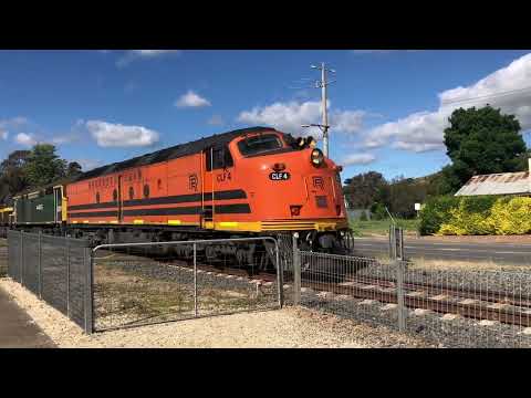 SSR 4CM7 Grain train With CLF4 44223 C501 4908 852 on 17/11/22