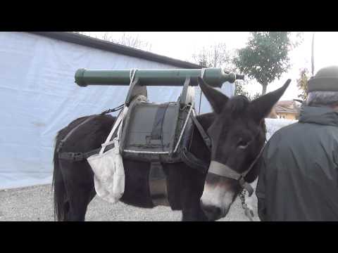 IL MULO E' LOBICE A CERIOLO (CN)  10 - 11 - 2013.