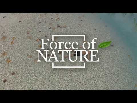 Descargar e Instalar Force Of Nature Full en Español