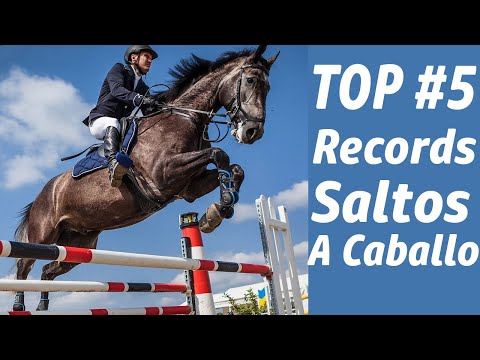 World records for high jumping on horseback. Top 5 Power Jumping on horseback.