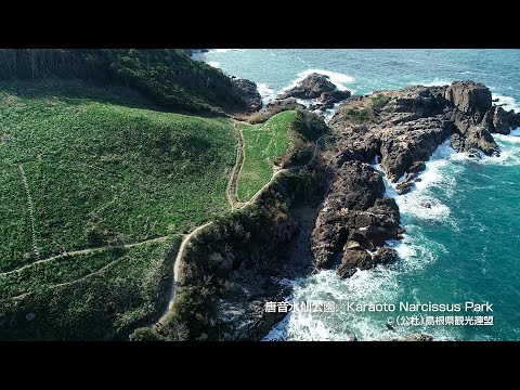 【空撮】唐音水仙公園＠島根県観光連盟