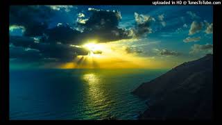 U2 - Salome (Zooromancer Remix)