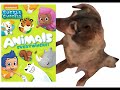 Dog W Bubble Guppies Animal Adventures DVD