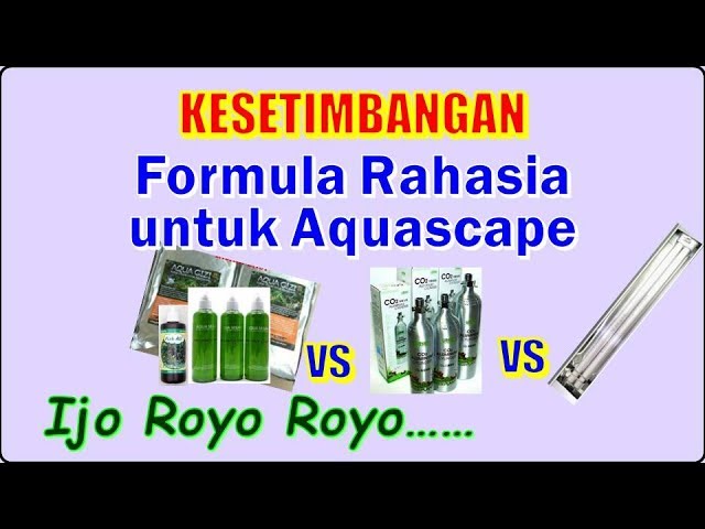 Kesetimbangan; Rahasia Aquascape Sehat dan Indah Selalu...