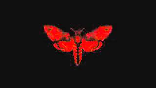 Lil Wayne - Lay It Down (Feat. Cory Gunz &amp; Nicki Minaj) (Im Not A Human Being 2)