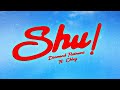 Diamond Platinum Shu Shu Diamondplatnumz